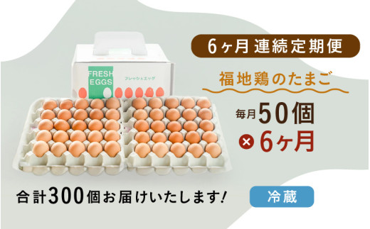 【6ヶ月連続お届け】 福井ブランド 「福地鶏」 の卵 50個 濃厚で甘くておいしい！ （25個入×2段） 定期便 ／ 卵 たまご 鶏卵 生卵 有精卵 高級 高級卵 福地鶏 鶏 平飼い 美味しい こだわり 6ヶ月 定期便 卵かけご飯 料理 あわら市 福井県産 [aw036-h002]