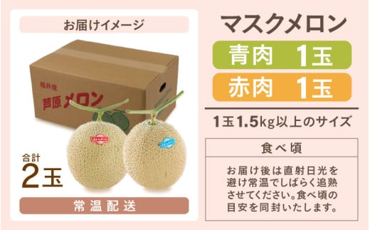 【先行予約】マスクメロン 青肉/赤肉 2色セット（1.5kg以上 2玉入）食べ比べお楽しみ！アールスメロン  / 期間限定 果物 フルーツ 産地直送 人気 食べ比べ ※2026年7月上旬より順次発送 [aw039-a006]
