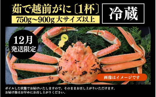 【先行予約】【12月発送限定】茹で越前がに 1杯 750g～900g（大サイズ以上）《新鮮！茹でたてを発送》／ 高級 福井 ブランド ズワイガニ 黄色タグ ボイル 冷蔵 蟹 カニ 期間限定【年内発送受付 12月23日まで】※2026年12月上旬～2026年12月25日で発送予定 [aw002-x003_12]
