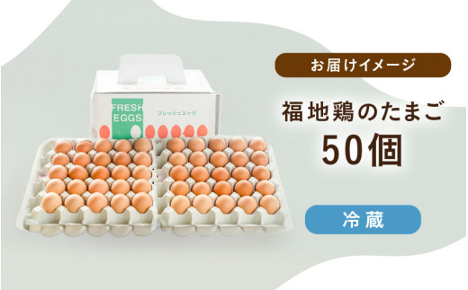 濃厚で甘くておいしい！ 福井ブランド「福地鶏」の卵 50個（25個入×2段） ／ 卵 たまご 鶏卵 生卵 有精卵 高級 高級卵 福地鶏 鶏 平飼い 美味しい こだわり 卵かけご飯 料理 あわら市 福井県産 [aw036-a002]
