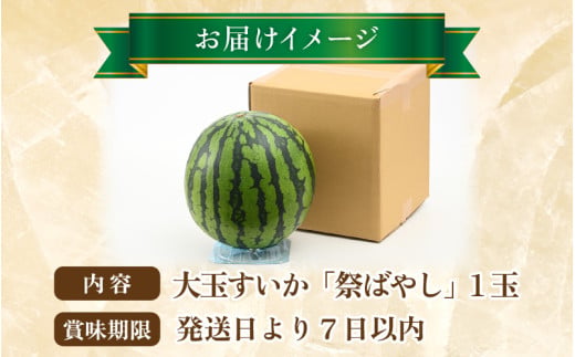 【先行予約】大玉すいか『祭ばやし』 1玉（約7kg以上）スイカが持つ食味を最大限まで極めた大きめ品種！ ／ 果物 フルーツ 西瓜 スイカ ギフト 農家直送 ※2027年6月上旬以降発送 [aw065-a015]