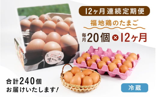 【12ヶ月連続お届け】福井ブランド「福地鶏」の卵 20個 濃厚で甘くておいしい！ 定期便 ／ 卵 たまご 鶏卵 生卵 有精卵 高級 高級卵 福地鶏 鶏 平飼い 美味しい こだわり 12ヶ月 定期便 卵かけご飯 料理 値下げ あわら市 福井県産 [aw036-h001]