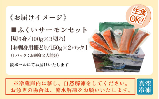 ふくいサーモンセット 計600g（切り身100g×3切・柵どり150g×2パック）＜鮮度抜群！アレンジ自在！真空冷凍＞ ／ 生食OK 刺身 焼き魚 鮭 国産 福井県 あわら市 寿司 [aw002-b005]