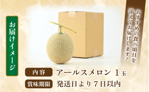 【先行予約】秋 アールスメロン 1玉（約1.6kg以上）青肉品種 高級メロン！ ／ マスクメロン 大玉 果物 フルーツ ギフト 農家直送 ※2026年9月中旬以降発送 [aw065-a008]