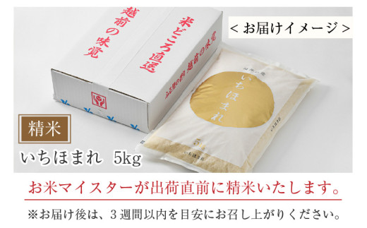 【令和7年産】いちほまれ 精米 5kg×1袋《お米マイスター厳選！発送直前に精米！》 ／ 福井県産 ブランド米 ご飯 白米 新鮮 [aw064-a022]