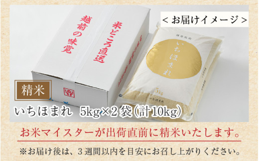 【令和7年産】いちほまれ 精米 5kg×2袋（計10kg）《お米マイスター厳選！発送直前に精米！》 ／ 福井県産 ブランド米 ご飯 白米 新鮮 [aw064-b014]