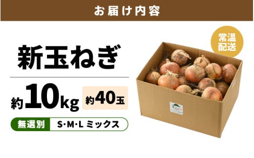 【先行予約】採れたて 新玉ねぎ 10kg（サイズ S M L ミックス）田んぼで育てた甘くて柔らか自慢の玉ねぎ！／ 常備 野菜 玉葱 たまねぎ 玉ネギ 甘い ※2026年6月以降順次発送予定 [aw056-a020]