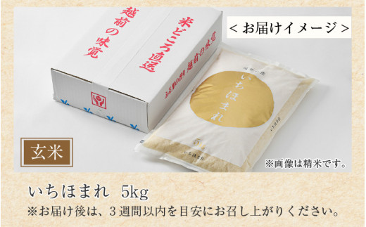 【令和7年産】いちほまれ 玄米 5kg×1袋《新鮮な高品質米をお届け！》／ 福井県産 ブランド米 ご飯 [aw064-a019]