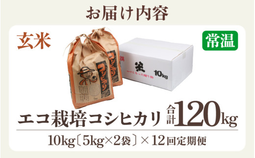 【先行予約】【令和8年産 新米】【一等米】《定期便12回》エコ栽培コシヒカリ 玄米10kg（5kg×2袋）計120kg ／ 鮮度抜群 福井県産 こしひかり ご飯 新鮮 玄米 ※2026年10月上旬以降順次発送 [aw063-o013]