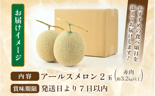 【先行予約】【赤肉】秋 アールスメロン 2玉（計約3.2kg以上）赤肉品種 高級メロン！ ／ マスクメロン 大玉 果物 フルーツ 夏 ギフト 農家直送  ※2026年9月中旬以降発送 [aw065-a011]