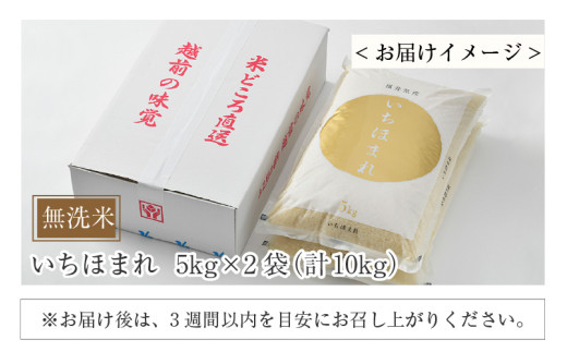【令和7年産】いちほまれ 無洗米 5kg×2袋（計10kg）／ 福井県産 ブランド米 ご飯 白米 新鮮 [aw064-c006]