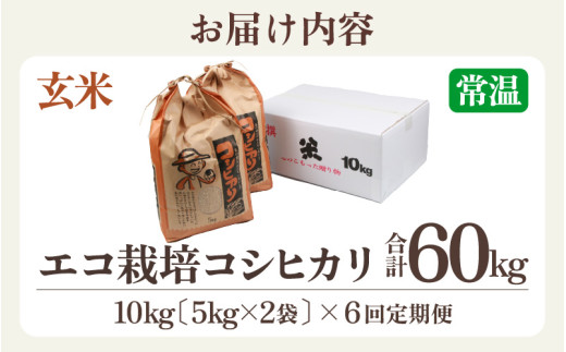 【先行予約】【令和8年産 新米】【一等米】《定期便6回》エコ栽培コシヒカリ 玄米10kg（5kg×2袋）計60kg ／ 鮮度抜群 福井県産 こしひかり ご飯 新鮮 玄米 ※2026年10月上旬以降順次発送 [aw063-j007]