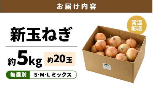 【先行予約】採れたて 新玉ねぎ 5kg（サイズ S M L ミックス）田んぼで育てた甘くて柔らか自慢の玉ねぎ！ ／ 野菜 万能 料理 常備 玉葱 BBQ たまねぎ 玉ネギ 甘い 2027年6月上旬以降順次発送予定 [aw056-a019]