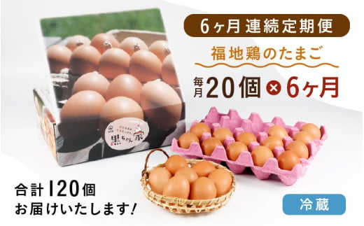 【6ヶ月連続お届け】 福井ブランド 「福地鶏」 の卵 20個 濃厚で甘くておいしい！ 定期便 ／ 卵 たまご 鶏卵 生卵 有精卵 高級 高級卵 福地鶏 鶏 平飼い 美味しい こだわり 6ヶ月 定期便 卵かけご飯 料理 あわら市 福井県産 [aw036-d002]