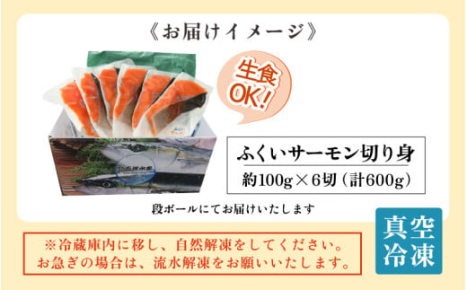 ふくいサーモン 切り身 100g×6切 計600g ＜鮮度抜群！アレンジ自在！真空冷凍＞ ／ 生食OK 刺身 焼き魚 鮭 国産 [aw002-b003]