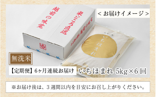 【令和7年産】定期便6回 いちほまれ 無洗米 5kg×6回（30kg）／ 福井県産 ブランド米 ご飯 白米 新鮮 [aw064-j004]