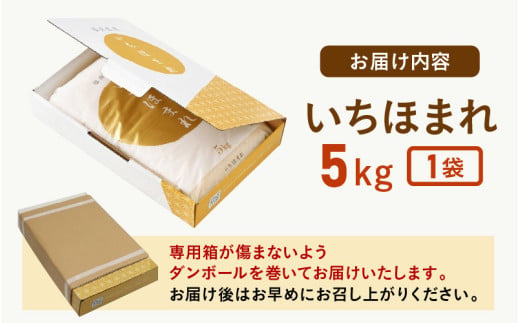 【令和7年産】いちほまれ 精米 5kg 《ギフトにもおすすめ！化粧箱入り》／ 福井県産 ブランド米 白米 贈り物 お取り寄せ [aw003-a012]