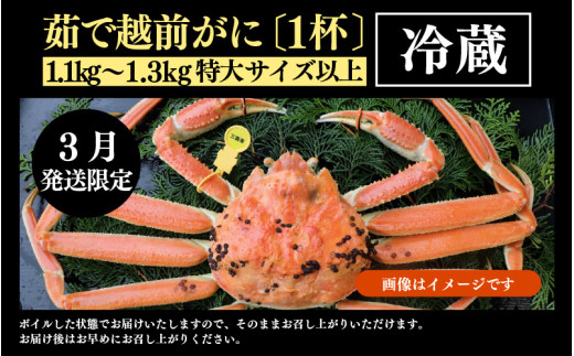 【先行予約】【3月発送限定】茹で越前がに 1杯 1.1kg～1.3kg《新鮮！茹でたてを発送》／ 高級 福井 ブランド ズワイガニ ボイル 黄色タグ 冷蔵 蟹 カニ 期間限定 【最終受付3月10日まで】※2027年3月上旬～2027年3月中旬で発送 [aw002-x004_03]