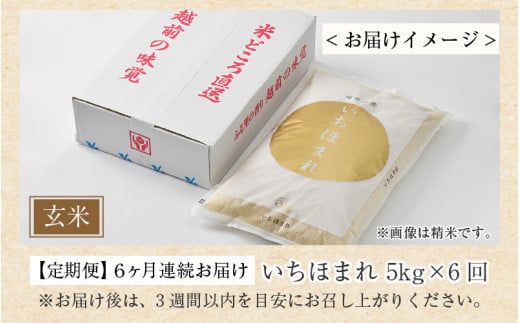 【令和7年産】定期便6回 いちほまれ 玄米 5kg×6回（計30kg）《新鮮な高品質米をお届け！》／ 福井県産 ブランド米 ご飯 [aw064-g004]