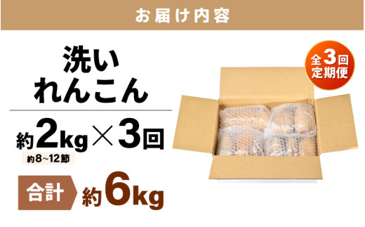 【先行予約】＜定期便3回＞ 洗いれんこん 2kg 《発送直前に収穫してお届け！》 シャキっとした歯触り！／ 有機肥料 低農薬 蓮根 レンコン 野菜 根菜 正月【2026年11月中旬以降順次発送予定】 [aw056-b001]
