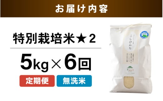 【先行予約】【令和8年産】《定期便6回》特別栽培米 コシヒカリ 5kg × 6回 （計30kg） 無洗米 低農薬 / 北陸 福井県産 あわら市 ブランド米 白米 お米 コメ 特栽米 ※2026年10月上旬以降順次発送予定 [aw056-f001]