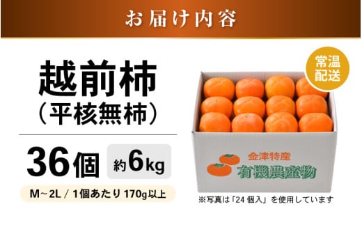 【先行予約】越前柿 36個入 約6kg（M～2L）≪JA受賞歴親子２代≫  ／ 果物 フルーツ 柿 産地直送 期間限定 ※2026年11月上旬より順次発送 [aw061-a002]