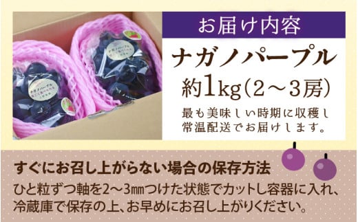 【先行予約】【種なし】上野梨園のナガノパープル 約1kg 【朝採れ】【秀品】農園直送【上野の葡萄】 / ぶどう フルーツ 果物 くだもの 贈答 お土産 種なし 旬 皮ごと食べる ポリフェノール 美容 レスベラトロール ぶどう狩り 巨峰  甘い 大粒 新鮮 濃厚 ※2026年8月下旬より順次発送 [aw077-a023]