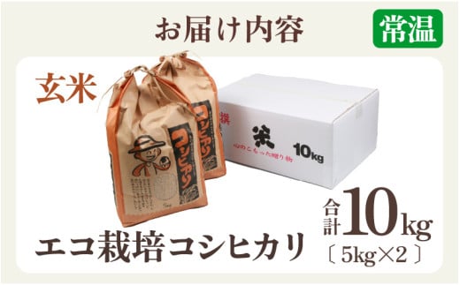 【先行予約】【令和8年産 新米】エコ栽培コシヒカリ 玄米10kg（5kg×2） ／ 鮮度抜群 福井県産 こしひかり ご飯 新鮮 玄米 ※2026年10月上旬以降順次発送 [aw063-a022]