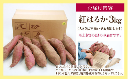 【先行予約】あわら市波松産 紅はるか 3kg / 厳選 不揃い さつまいも 土付き 熟成 焼き芋 福井県 薩摩芋 密芋 スイートポテト しっとり ほっくり 自然のスイーツ 極甘 農研機構許諾済 メディアで人気 腸活 ※2026年10月上旬以降順次発送予定 [aw084-a001]