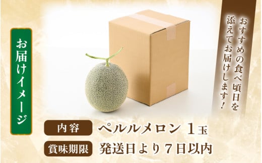 【先行予約】ペルルメロン 1玉（約2kg以上）青肉品種 高級メロン！ ／ マスクメロン 大玉 果物 フルーツ ギフト 農家直送 ※2026年6月下旬以降順次発送 [aw065-a006]