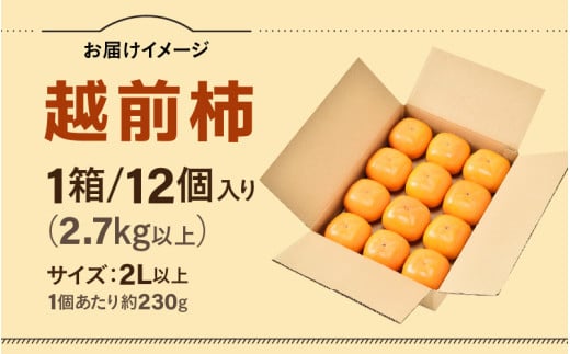 【先行予約】【種なし】 甘い！越前柿12個入り 脱渋済み 本場柿原郷で収穫 ※2026年10月中旬以降順次発送予定 [aw082-a001]