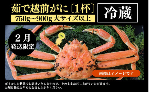 【先行予約】【2月発送限定】茹で越前がに 1杯 750g～900g（大サイズ以上）《新鮮！茹でたてを発送》／ 高級 福井 ブランド ズワイガニ 黄色タグ ボイル 冷蔵 蟹 カニ 期間限定 【最終受付2月25日まで】※2027年2月上旬～2027年2月下旬で発送 [aw002-x003_02]
