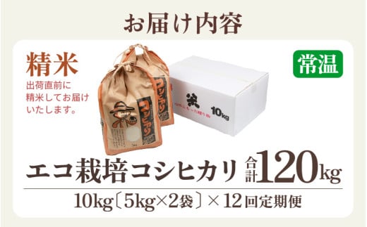 【先行予約】【令和8年産 新米】《定期便12回》エコ栽培コシヒカリ 白米10kg（5kg×2袋）計120kg ／ 鮮度抜群 福井県産 こしひかり ご飯 新鮮 白米 ※2026年10月上旬以降順次発送 [aw063-o012]