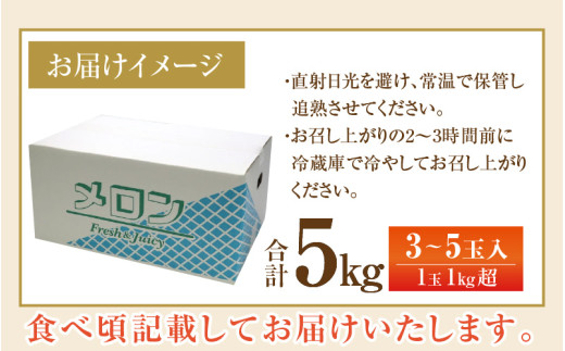 【先行予約】マルセイユメロン 3～5玉入「ユメマル」5kg 《とろけるような食感の絶品 赤肉メロン》／ 果物 フルーツ 産地直送 大賞 受賞 ※2026年6月中旬より順次発送 [aw012-a025]