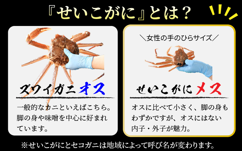 【先行予約】ボイルせいこがに 5杯 《 獲れたての味！》 ／期間限定 茹で ボイル 冷蔵 蟹 カニ 福井県 あわら市 海鮮 冬 旬 ※2026年11月中旬～2026年12月下旬の間で順次発送 [aw002-x001]