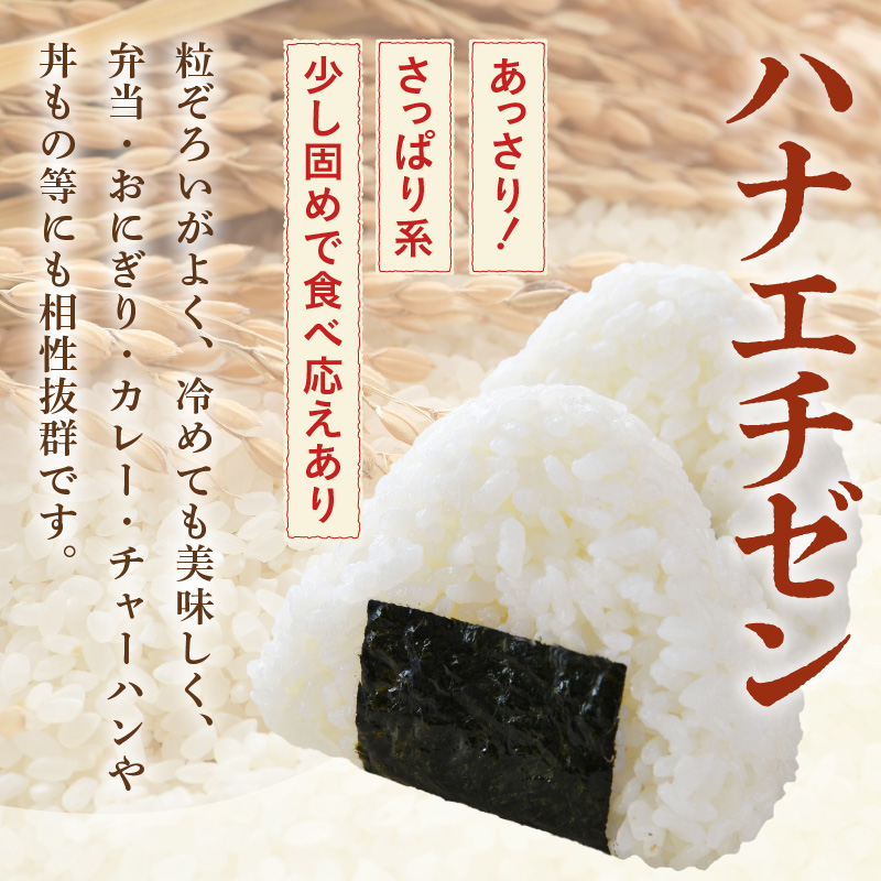 【先行予約】【令和8年産・新米】【一等米】＜定期便3回＞ ハナエチゼン 精米 5kg × 3回（15kg）《発送直前精米！》 ／ 福井県産 ブランド米 ご飯 白米 お米 コメ 新鮮 大賞 受賞 新米 ※2026年9月上旬以降順次発送予定 [aw012-b027]