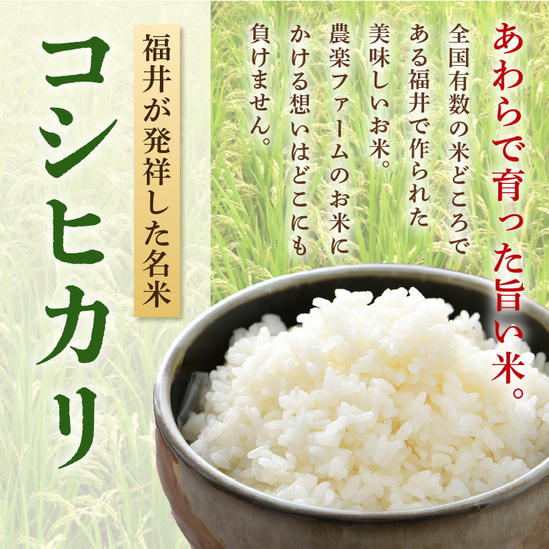 【先行予約】【令和8年産・新米】【一等米】いっちょらい 無洗米 10kg×1袋 ／ 福井県産 ブランド米 コシヒカリ ご飯 白米 新鮮 大賞 受賞 ※2026年9月下旬以降順次発送予定 [aw012-b024]