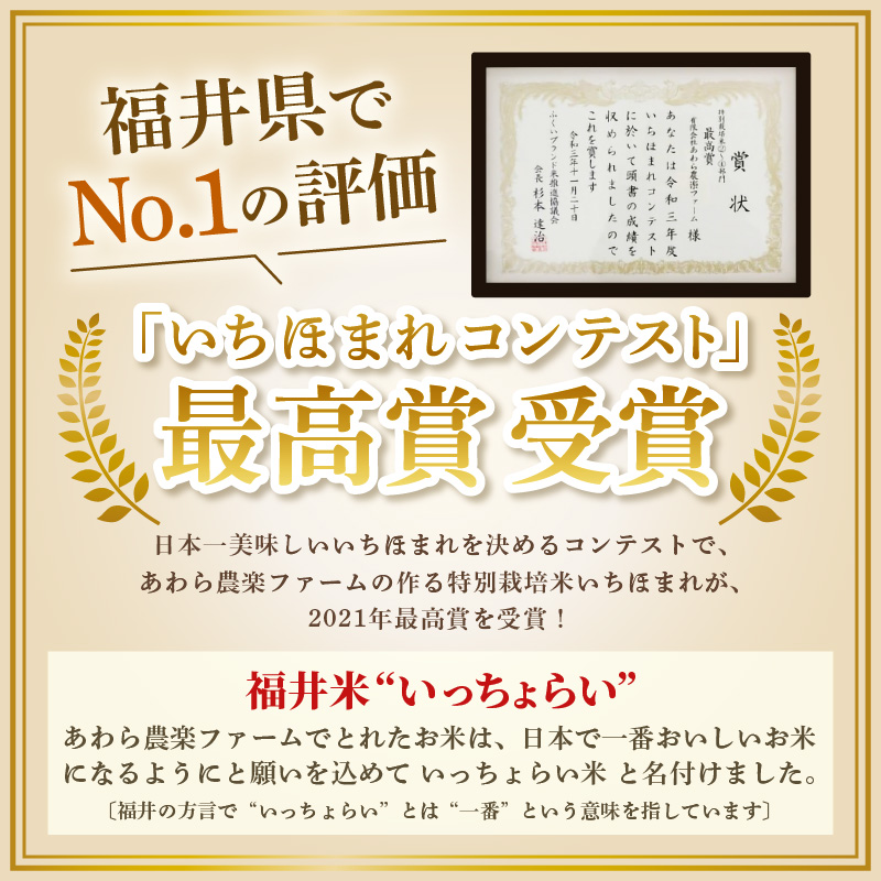 【先行予約】【令和8年産・新米】【一等米】いっちょらい 無洗米 10kg×1袋 ／ 福井県産 ブランド米 コシヒカリ ご飯 白米 新鮮 大賞 受賞 ※2026年9月下旬以降順次発送予定 [aw012-b024]