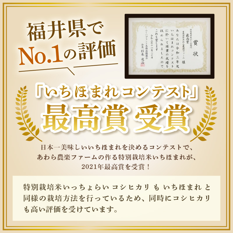 【先行予約】【令和8年産・新米】【一等米】《定期便3回》特別栽培米 いっちょらい 精米 5kg × 3回（計15kg）／ 福井県産 ブランド米 コシヒカリ ご飯 白米 新鮮 大賞 受賞 ※2026年10月上旬以降順次発送予定 [aw012-b031]