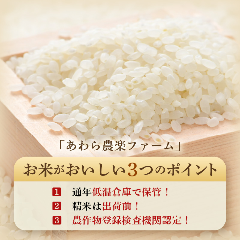 【先行予約】【令和8年産・新米】【一等米】特別栽培米いっちょらい 精米 10kg×1袋 ／福井県産 ブランド米 コシヒカリ ご飯 白米 新鮮 大賞 受賞 ※2026年10月上旬以降順次発送予定 [aw012-b025]
