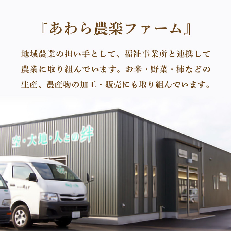 【先行予約】【令和8年産・新米】【一等米】特別栽培米 いっちょらい 無洗米 5kg ／ 福井県産 ブランド米 コシヒカリ ご飯 白米 新鮮 大賞 受賞 ※2026年10月上旬以降順次発送予定 [aw012-a033]