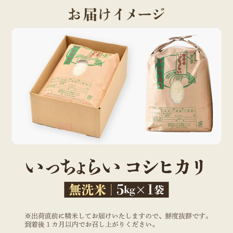 【先行予約】【令和8年産・新米】【一等米】いっちょらい 無洗米 5kg ／ 福井県産 ブランド米 コシヒカリ ご飯 白米 新鮮 大賞 受賞 ※2026年9月下旬以降順次発送予定 [aw012-a037]