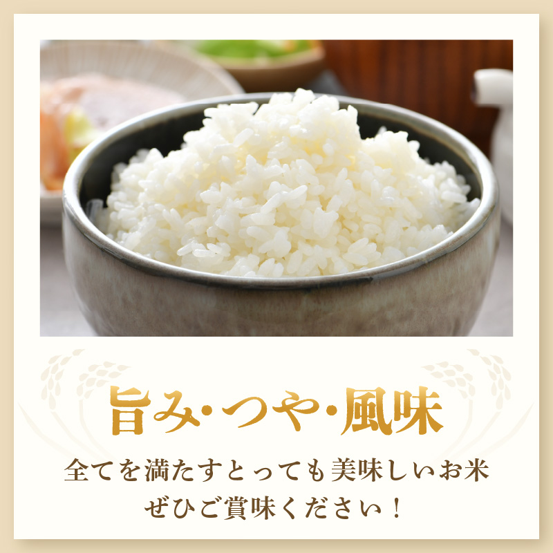 【先行予約】【令和8年産・新米】【一等米】特別栽培米いっちょらい 精米 10kg×1袋 ／福井県産 ブランド米 コシヒカリ ご飯 白米 新鮮 大賞 受賞 ※2026年10月上旬以降順次発送予定 [aw012-b025]