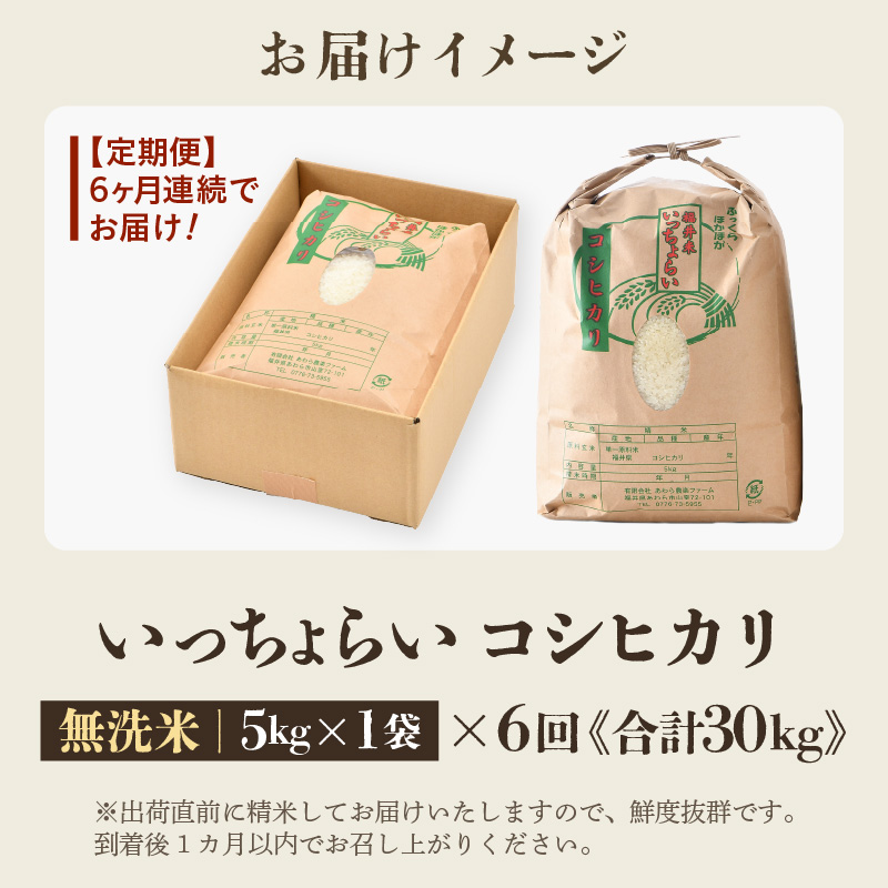 【先行予約】【令和8年産・新米】【一等米】《定期便6回》いっちょらい 無洗米 5kg × 6回（計30kg） ／ 福井県産 ブランド米 コシヒカリ ご飯 白米 新鮮 大賞 受賞 ※2026年10月上旬以降順次発送予定 [aw012-e007]