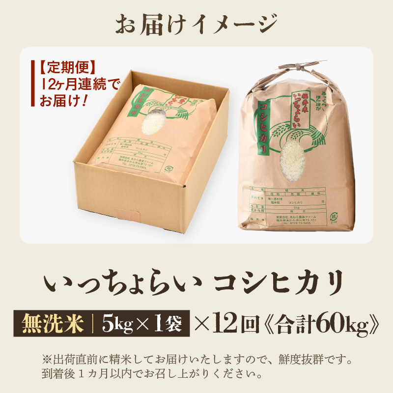 【先行予約】【令和8年産・新米】【一等米】《定期便12回》いっちょらい 無洗米 5kg × 12回（計60kg） ／ 福井県産 ブランド米 コシヒカリ ご飯 白米 新鮮 大賞 受賞 ※2026年10月上旬以降順次発送予定 [aw012-j007]