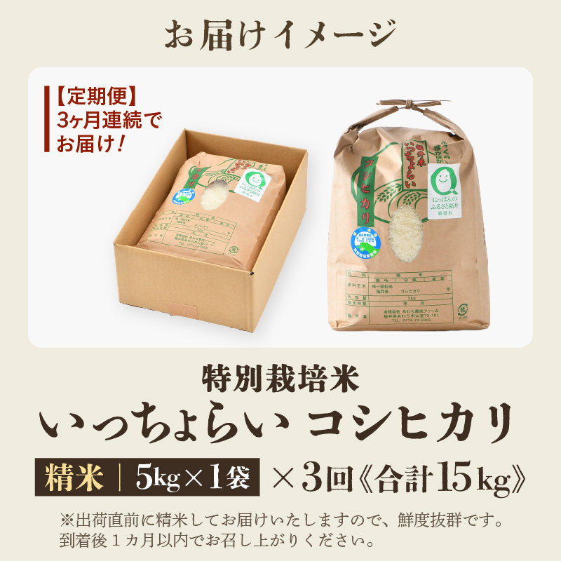 【先行予約】【令和8年産・新米】【一等米】《定期便3回》特別栽培米 いっちょらい 精米 5kg × 3回（計15kg）／ 福井県産 ブランド米 コシヒカリ ご飯 白米 新鮮 大賞 受賞 ※2026年10月上旬以降順次発送予定 [aw012-b031]