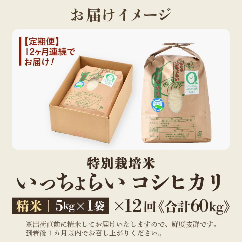 【先行予約】【令和8年産・新米】【一等米】《定期便12回》特別栽培米 いっちょらい 精米 5kg × 12回（計60kg）／ 福井県産 ブランド米 コシヒカリ ご飯 白米 新鮮 大賞 受賞 ※2026年10月上旬以降順次発送予定 [aw012-j008]