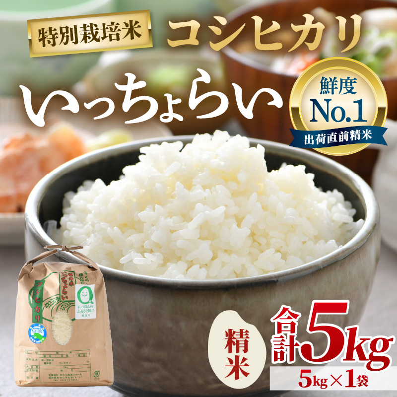 【先行予約】【令和8年産・新米】【一等米】特別栽培米 いっちょらい 精米 5kg ／福井県産 ブランド米 コシヒカリ ご飯 白米 新鮮 大賞 受賞 ※2026年10月上旬以降順次発送予定 [aw012-a039]