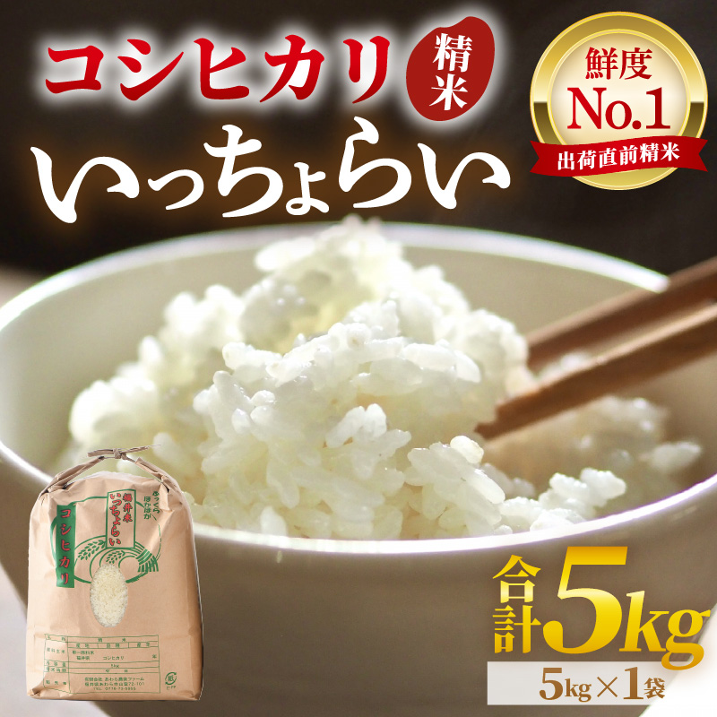 【先行予約】【令和8年産・新米】【一等米】いっちょらい 精米 5kg ／ 福井県産 ブランド米 ご飯 白米 お米 コメ 新鮮 大賞 受賞 新米 福井県あわら産 ※2026年9月下旬以降順次発送予定 [aw012-a030]