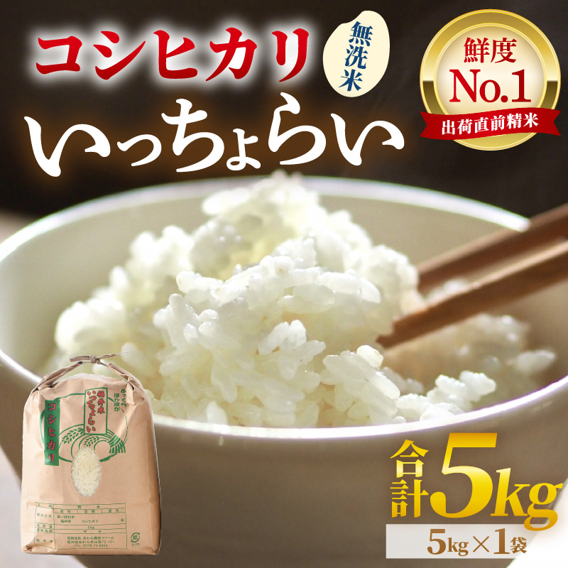 【先行予約】【令和8年産・新米】【一等米】いっちょらい 無洗米 5kg ／ 福井県産 ブランド米 コシヒカリ ご飯 白米 新鮮 大賞 受賞 ※2026年9月下旬以降順次発送予定 [aw012-a037]